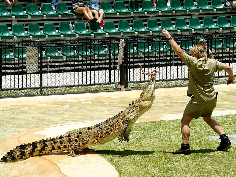 Soubor:Steve Irwin, December 2005.jpg