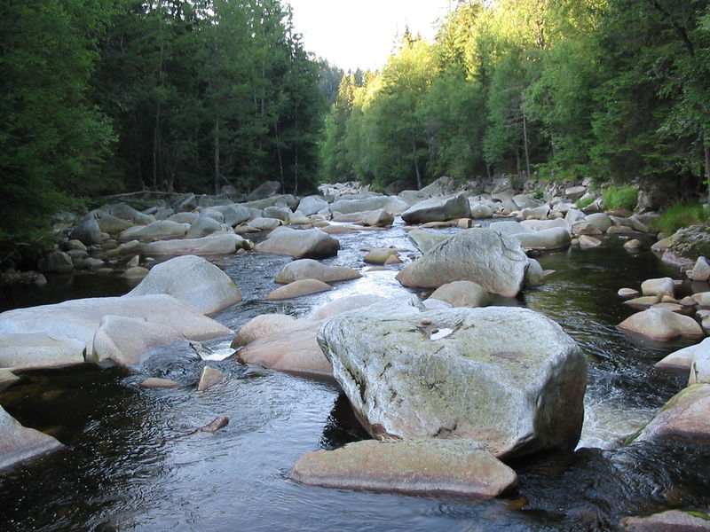 Soubor:River Vydra.JPG