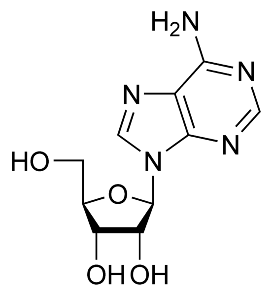 Soubor:Adenosine.png