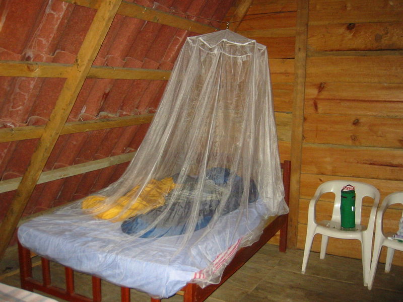 Soubor:Mosquito Netting.jpg