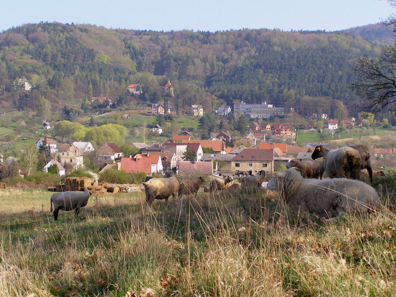 Soubor:Skalice (Litoměřice).jpg