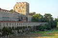 Turkey-03642-Gardening below the Walls-DJFlickr.jpg