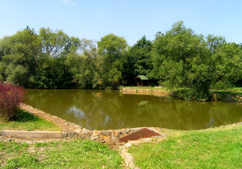 Soubor:Pond, Prague Koloděje.jpg