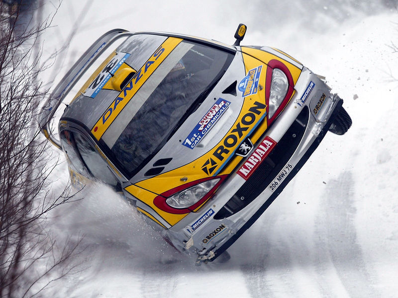 Soubor:Peugeot 206 WRC.jpg