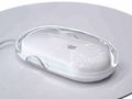 Apple mouse Pro.jpg