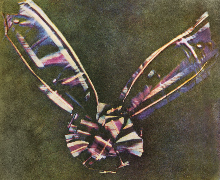 Soubor:Tartan Ribbon.jpg