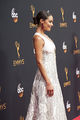 68th Emmy Awards Flickr15p12.jpg