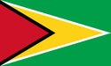 Flag of Guyana.png