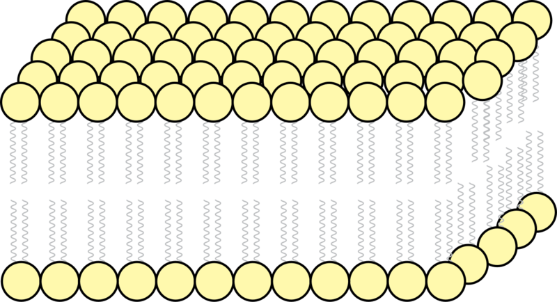 Soubor:Fluid Mosaic.png