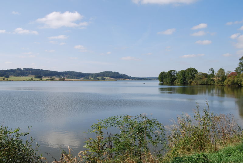 Soubor:Labuť pond (2).JPG