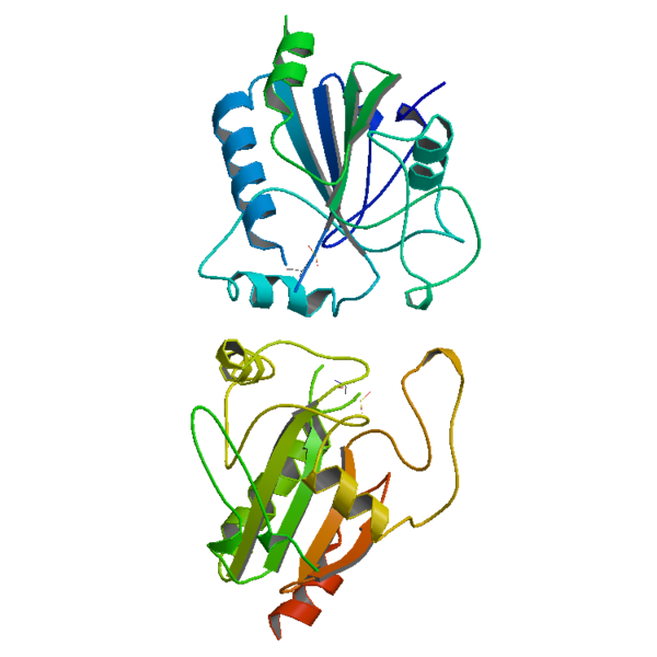 Soubor:GlutPeroxidase-1GP1.png