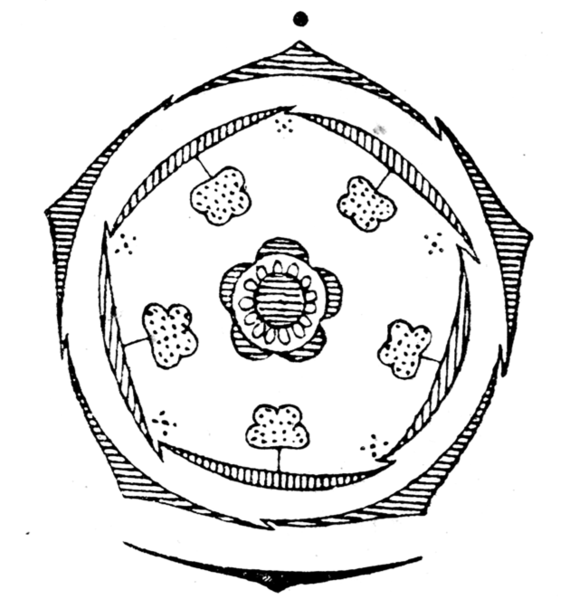 Soubor:Primula flowerdiagram.png