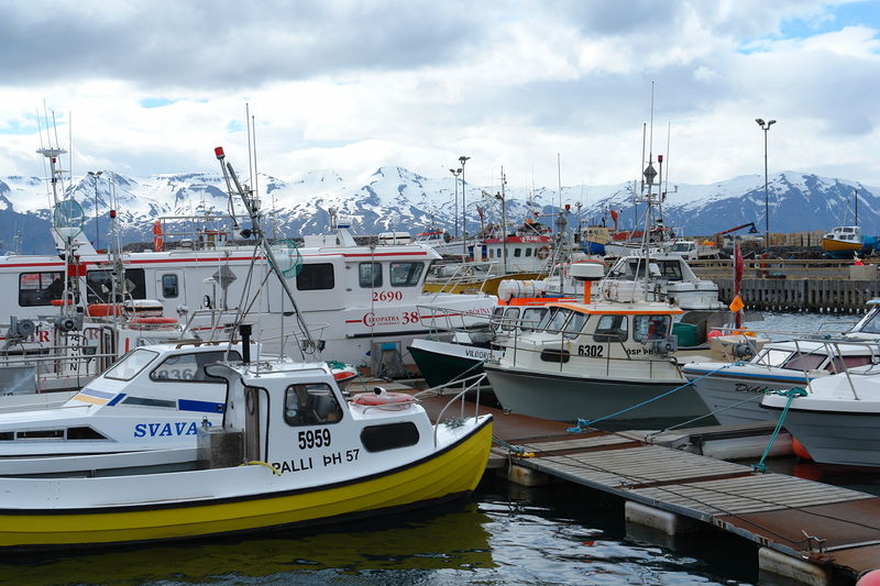 Soubor:Husavik Harbor 2006.jpg