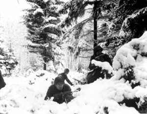 Battle of the Bulge.jpg