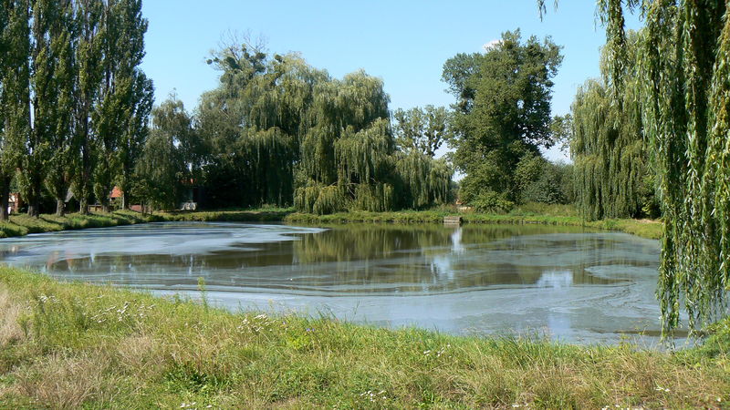 Soubor:Koryčany - rybník.jpg