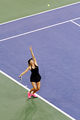 US Open 2014 (14862304728).jpg