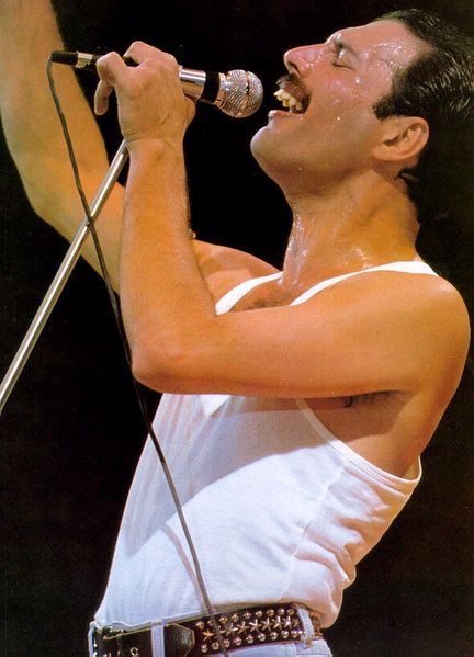 Soubor:Freddie Mercury Flickr.jpg