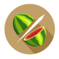 AndroidLF144-Fruit Ninja.png