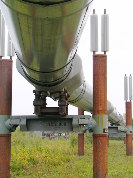 Soubor:Alaska Pipeline Closeup Underneath.jpg