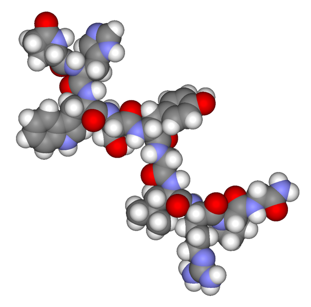 Soubor:Gonadotropin releasing hormone3d.png