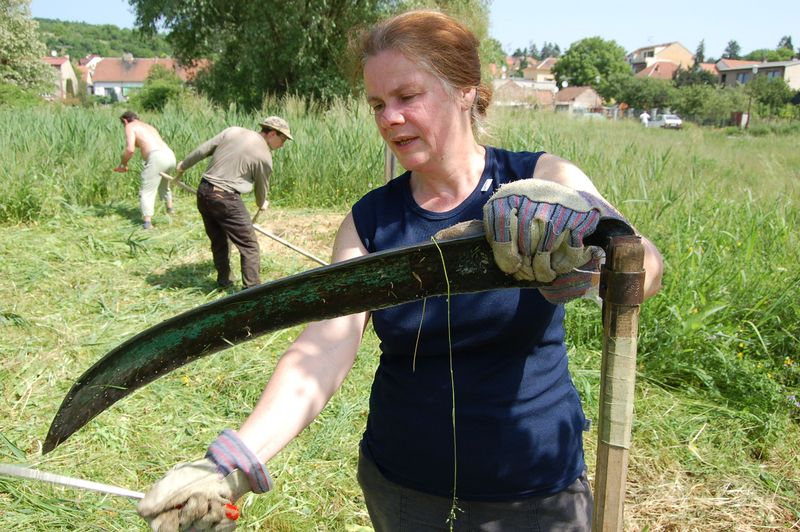 Soubor:Yvonna Gailly.jpg