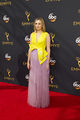 68th Emmy Awards Flickr28p07.jpg