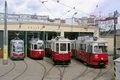 4trams vienna.jpg