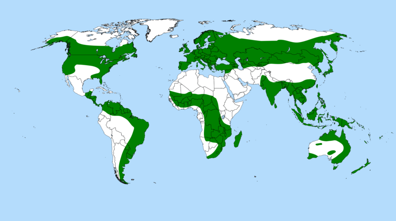 Soubor:Drosera distribution.png