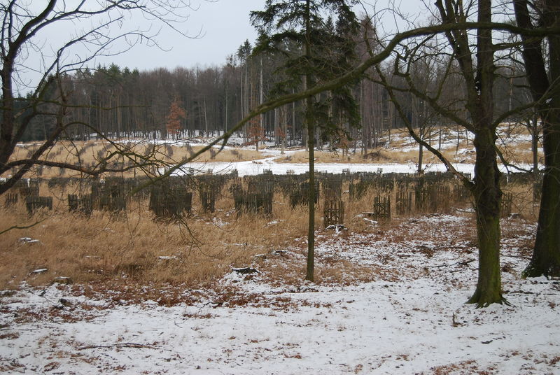 Soubor:Sedlická obora (2).jpg