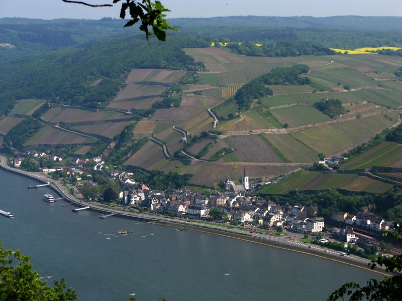 Soubor:Assmannshausen 2009.jpg