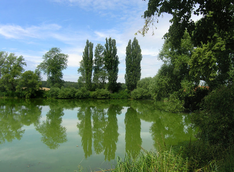 Soubor:Dománovice, Pond.jpg