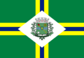 Bandeira de Paulínia.png