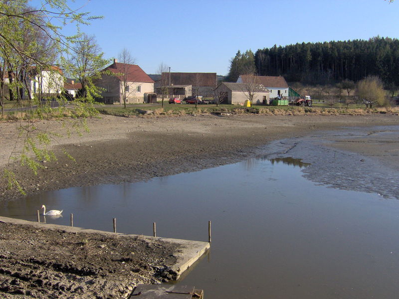 Soubor:Paracov-pond.JPG