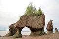 Hopewell Rocks-NB-00047-DJFlickr.jpg