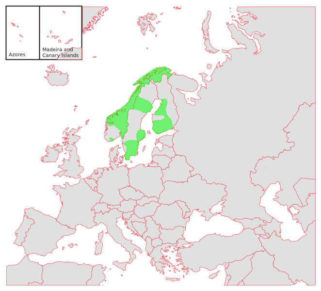 Soubor:Expansion of hogweed B.png