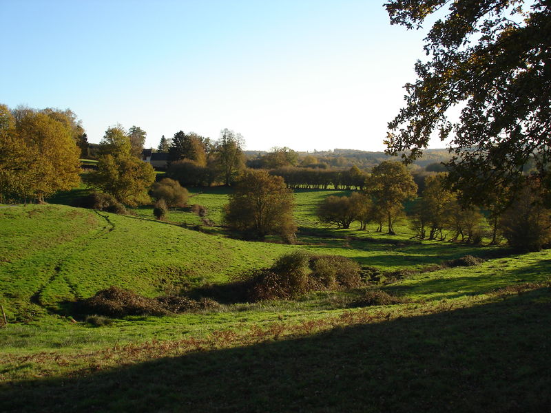 Soubor:Paysage en Creuse.JPG