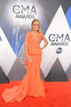 49th CMA Awards Flickr22p01.jpg