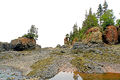 Baxters Harbour Shoreline-DSC07938-DJFlickr.jpg