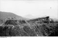 Bundesarchiv Bild 101I-316-1164-07, Italien, Küstenbefestigungen, getarnter Panzer V.jpg