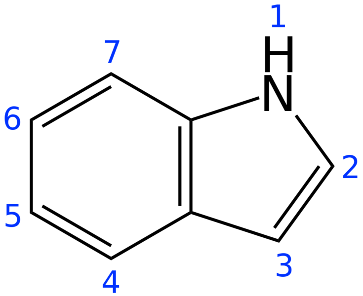 Soubor:Indole 2D numbered.png