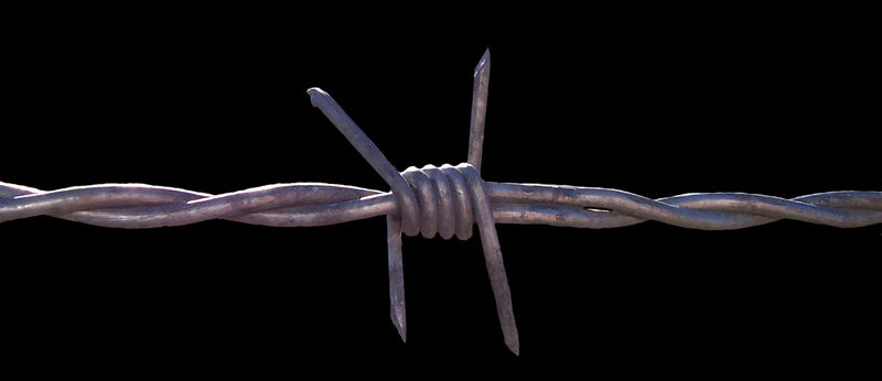 Soubor:Barbed wire.jpg