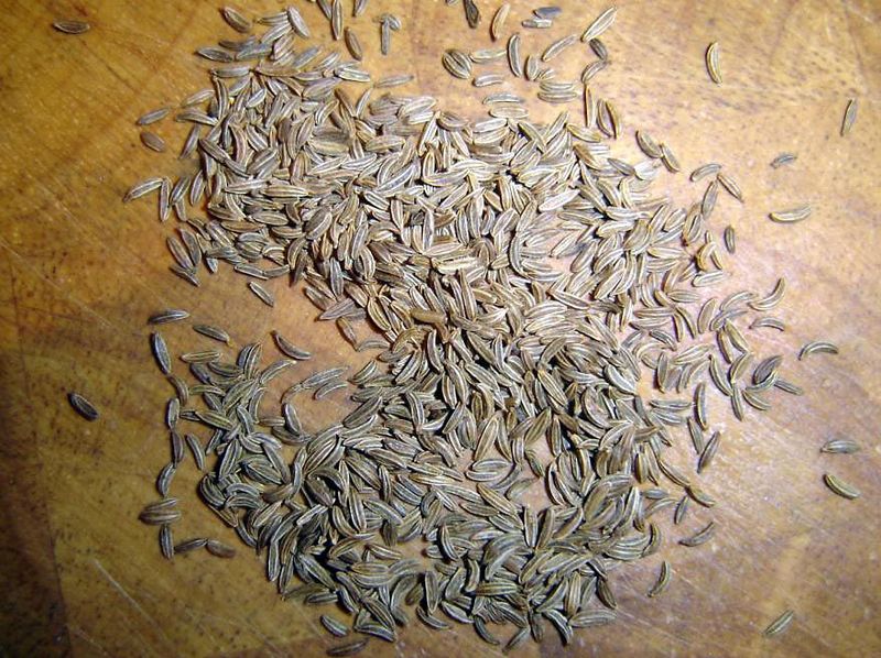 Soubor:Carawayseeds.JPG