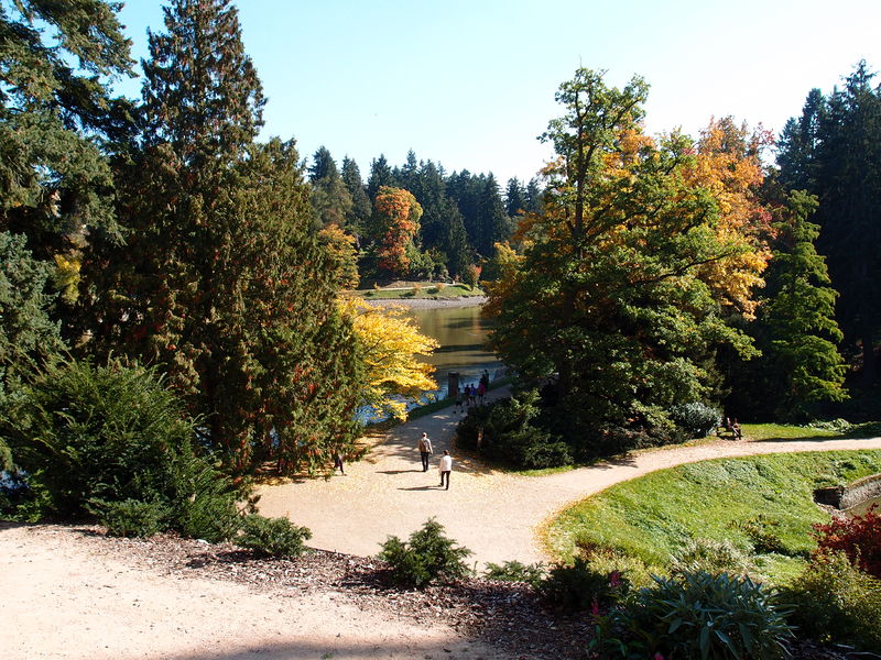 Soubor:Zámecký park Průhonice-September-2017-38.JPG