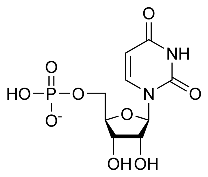 Soubor:UMP chemical structure.png