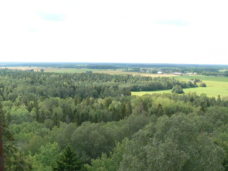 Soubor:Ebavere Hill.jpg