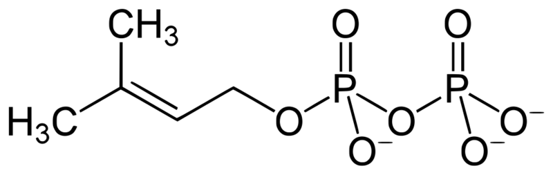 Soubor:Dimethylallyl diphosphate.png