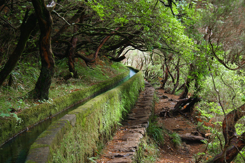 Soubor:Levada Madeira.jpg