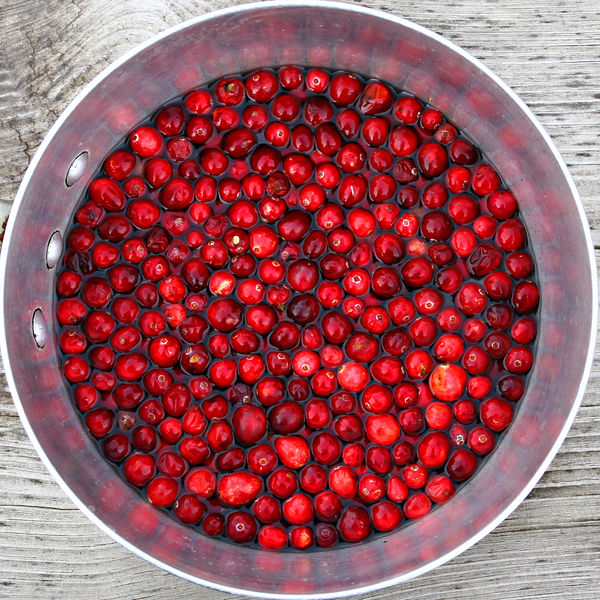 Soubor:Cranberry squircle-Flickr.jpg