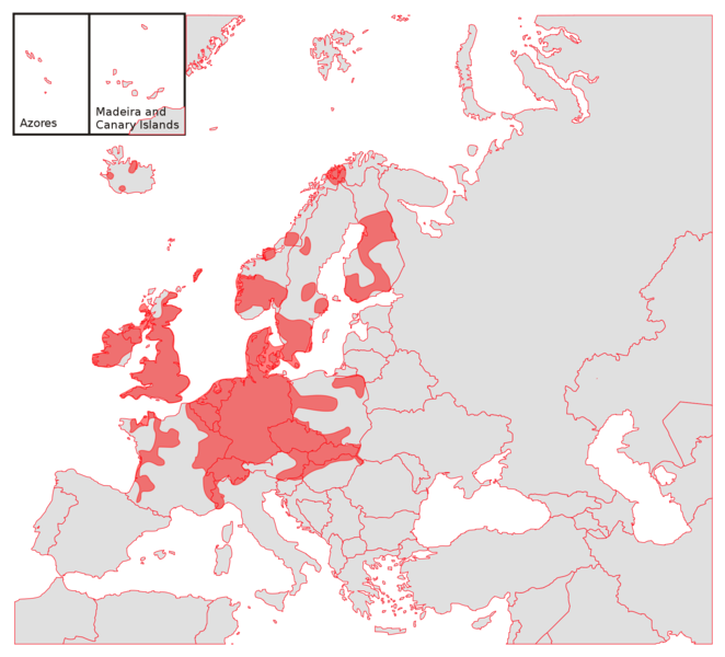 Soubor:Expansion of hogweed A.png