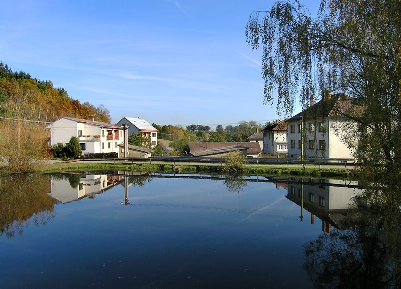 Soubor:Plandry, common pond.jpg